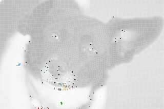 Don't surf the net all day, play with your dog! Don't surf the net all day, play with your dog!